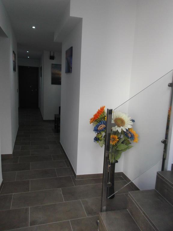 Hostal Maria Jose Кониль-де-ла-Фронтера Экстерьер фото
